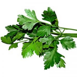 Parsley