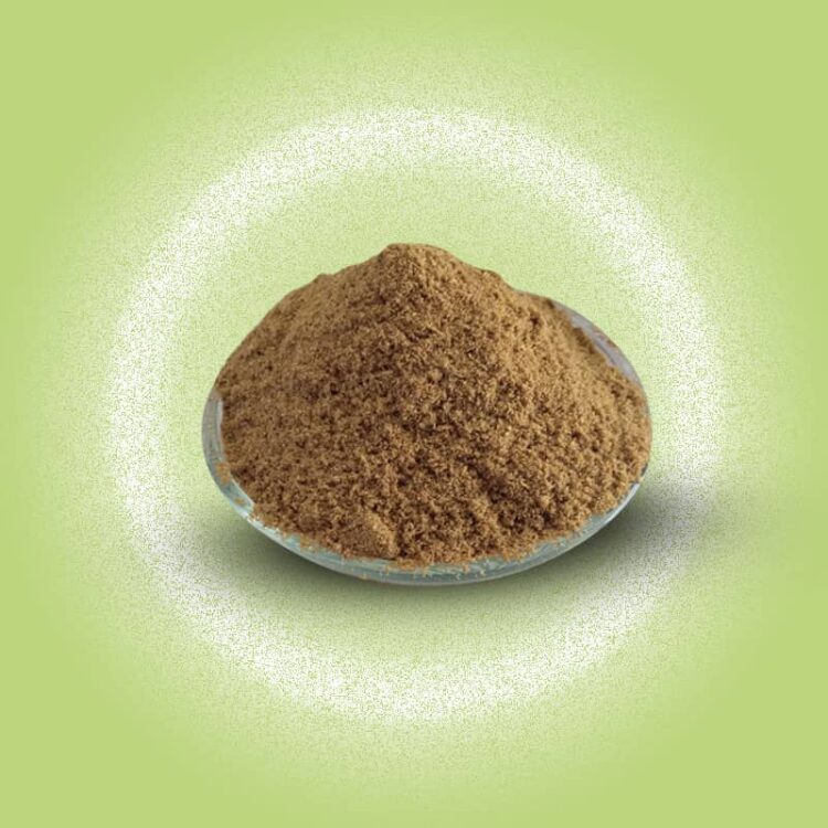 Coriander ( धनिया )