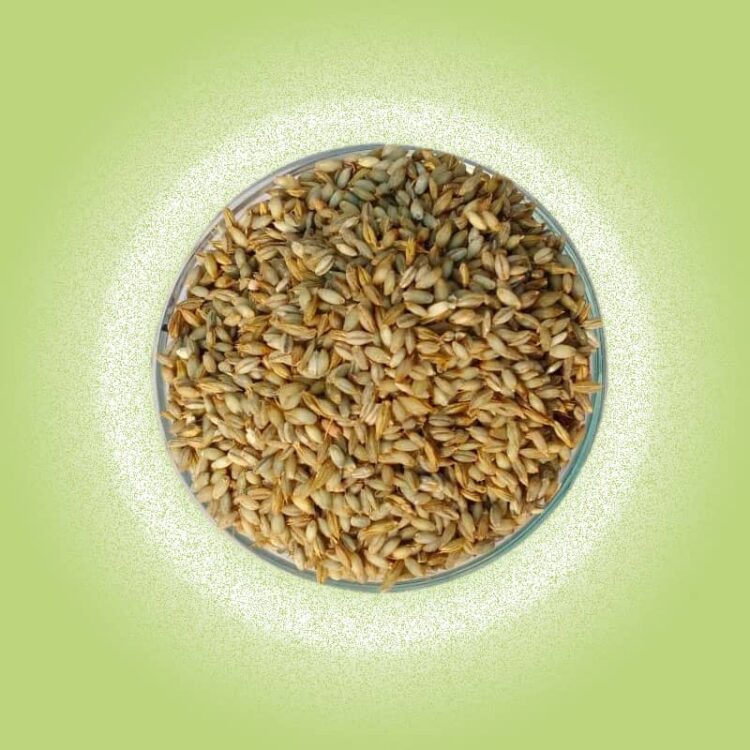 Barley Rice (जौ चामल) 1 KG