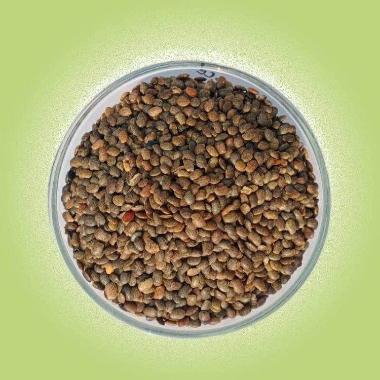Gahat Pulses ( गहत दाल ) 1 KG