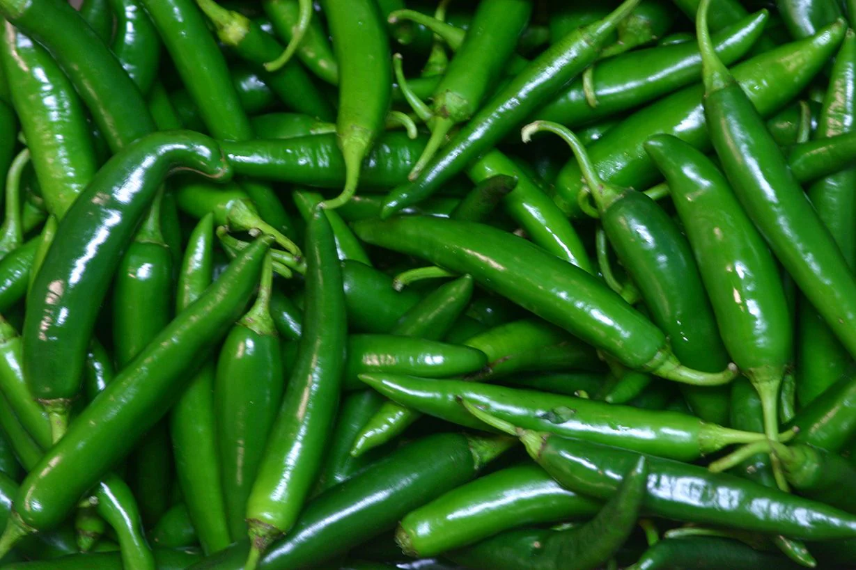 Green Chilli (Khursani)