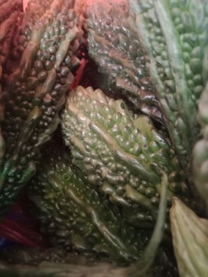 Karela