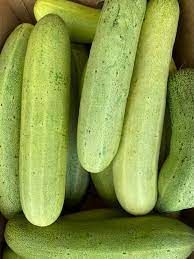 Cucumber