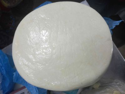Paneer