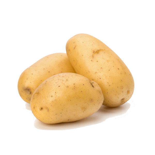 Potato