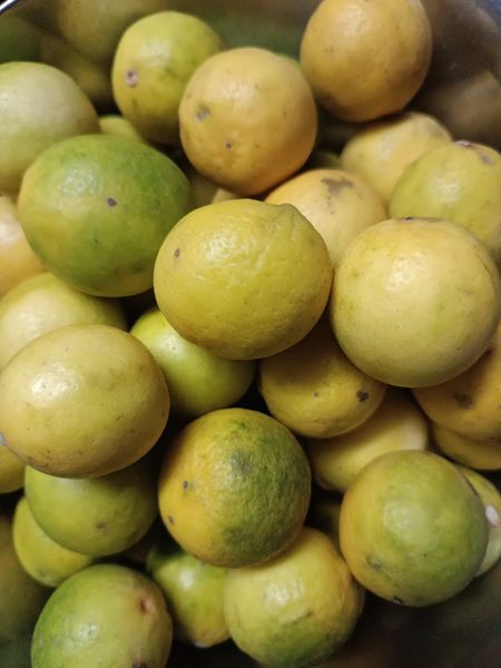 Nimbu