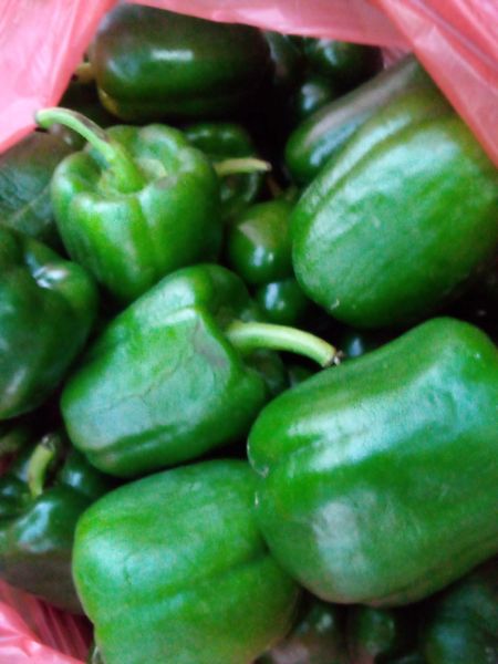Capsicum (Vede Khirsani)