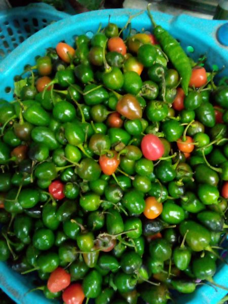 Akabare Khirsani