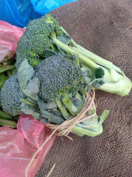 Brocouli
