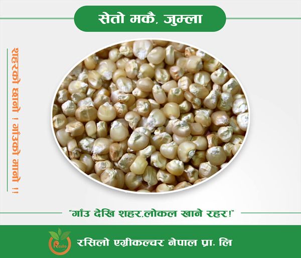 Corn White Karnali - 1kg