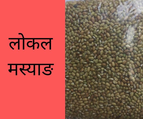 Local Masyang Beans -1kg