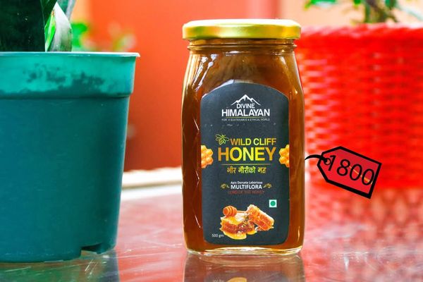 Wild cliff honey 1/2 kg