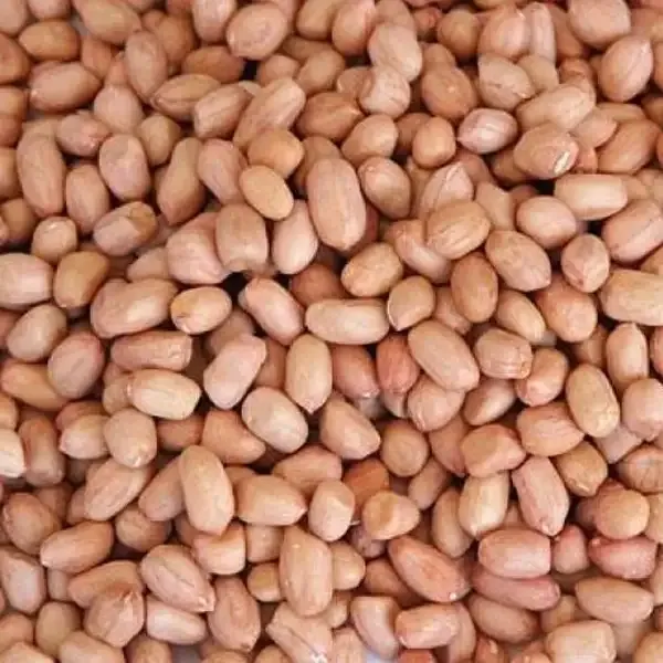 Raw Peanut (कचो बदाम)