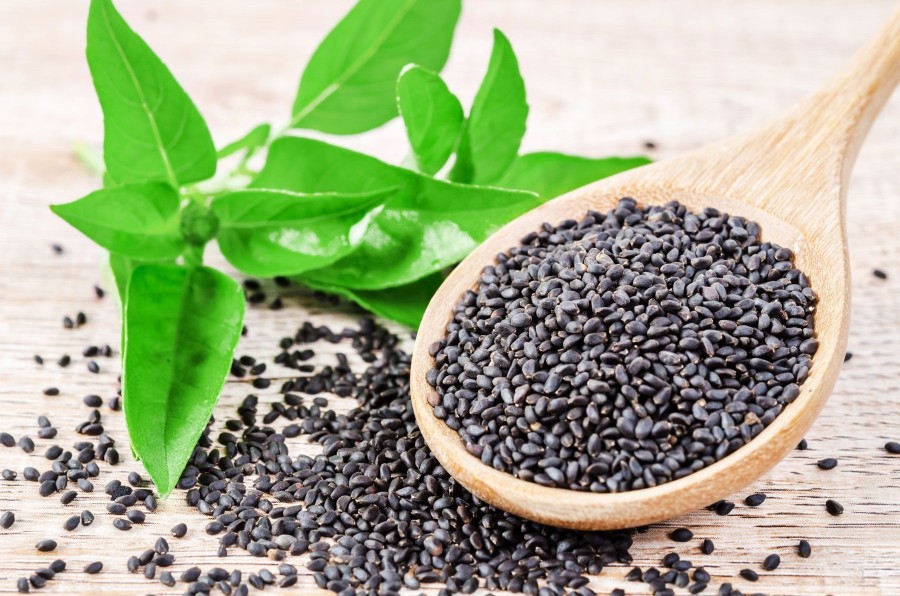 Basil Seeds - सब्जा- टुकमरिया-तुलसीको-दाना 