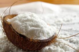 Coconut Powder - नारीवलको धुलो