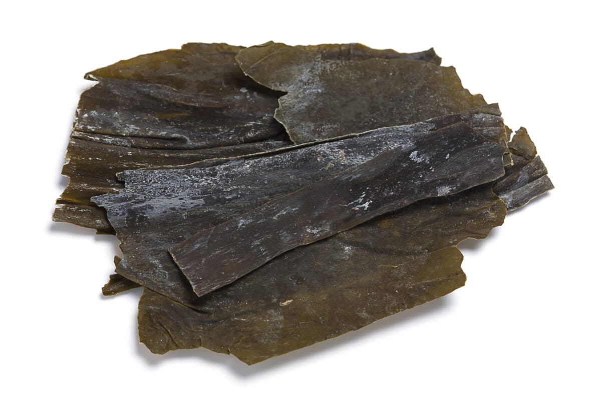 Kombu Seaweed - कोम्बु समुद्री साग