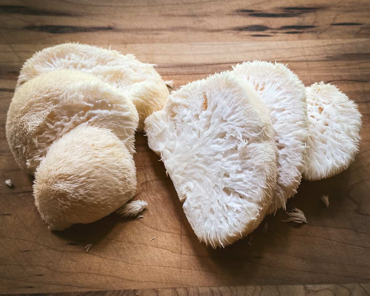 Lion’s Mane Mushroom