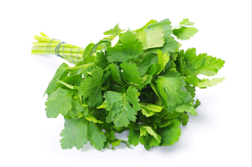 Parsley - पार्सले