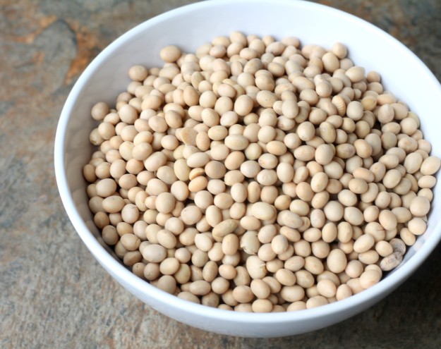White Soybean - सेतो भटमास)