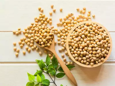 Soybean