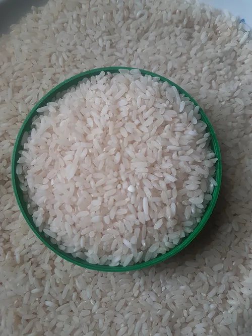 Jethobudho RIce