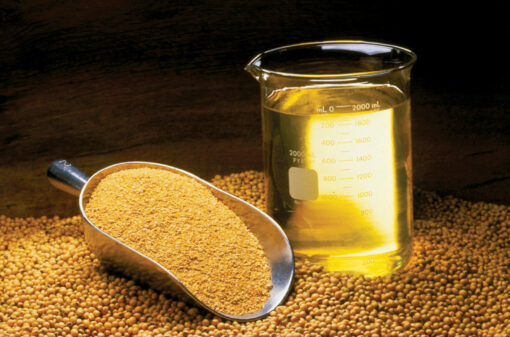 Soyabean Oil