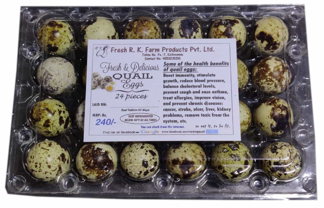  Fresh R.K Farm Quail Egg, Pack of 24