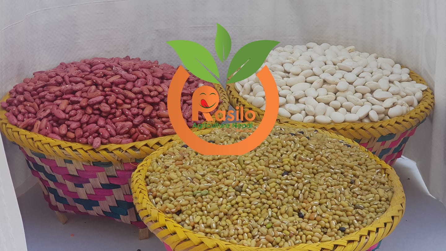 Rasilo Quality Products
